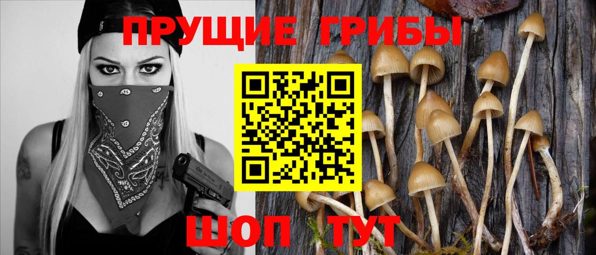 Галлюциногенные грибы ЛСД Белово